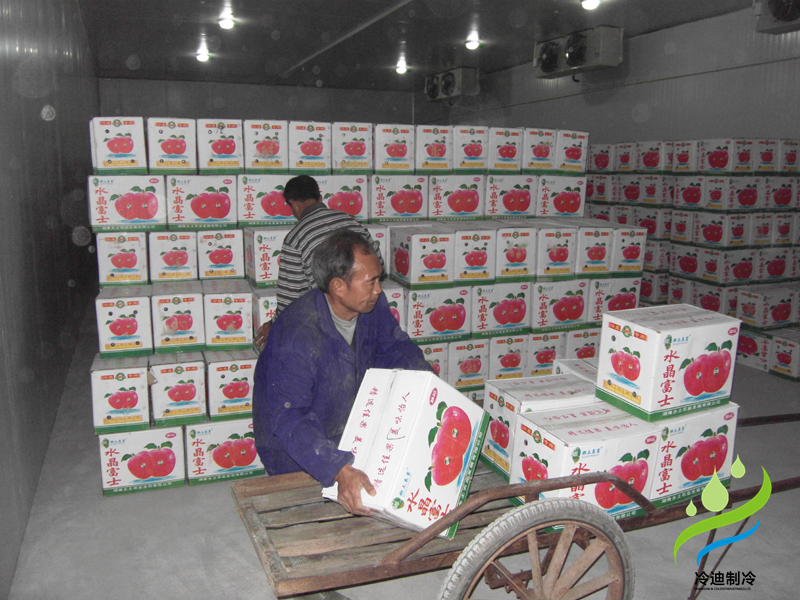 安裝一個(gè)蘋(píng)果保鮮冷庫(kù)大概多少錢(qián)？