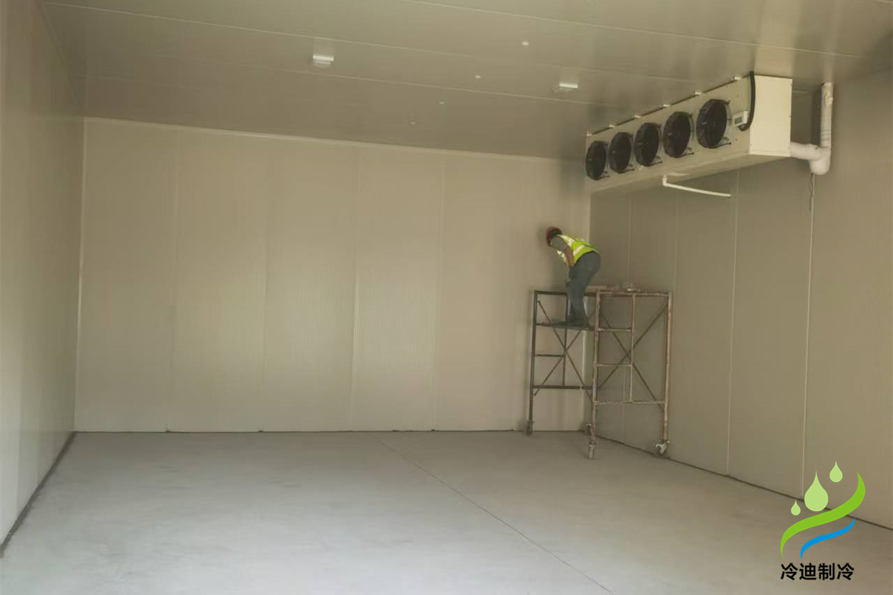 建造一個(gè)600平冷庫需要多少錢？(圖2)