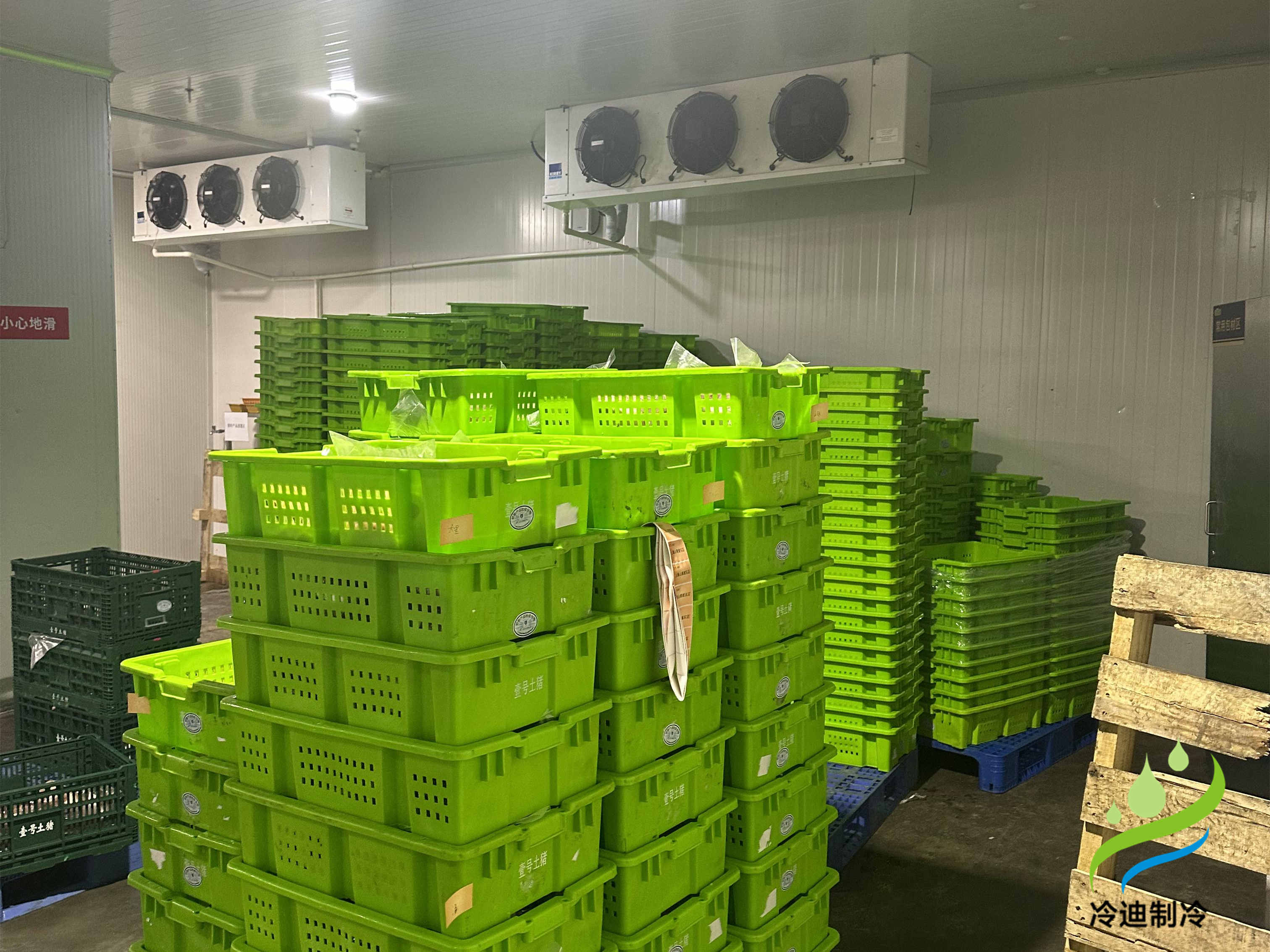 安裝一個冷庫造價正常要多少錢？